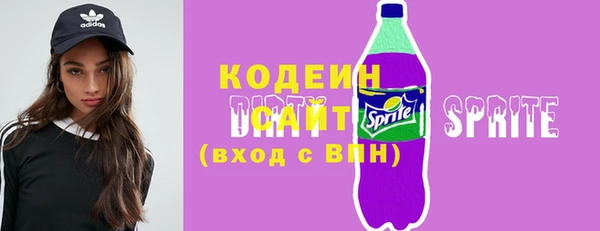 индика Верея